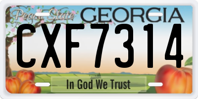 GA license plate CXF7314