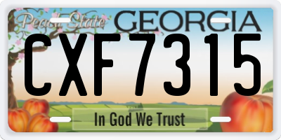 GA license plate CXF7315