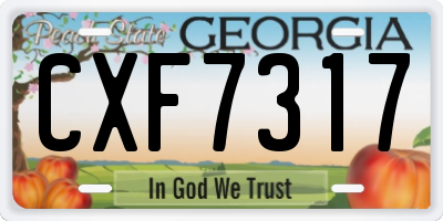 GA license plate CXF7317