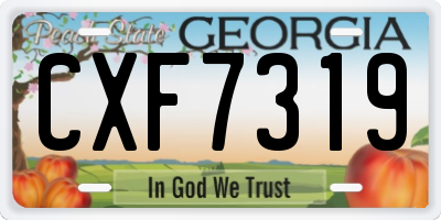 GA license plate CXF7319