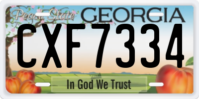 GA license plate CXF7334