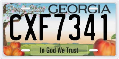 GA license plate CXF7341