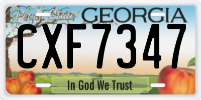 GA license plate CXF7347