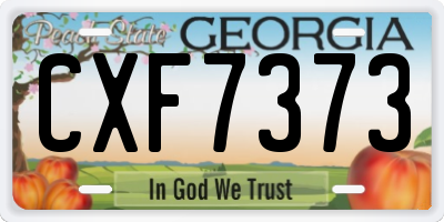 GA license plate CXF7373