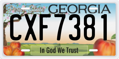 GA license plate CXF7381