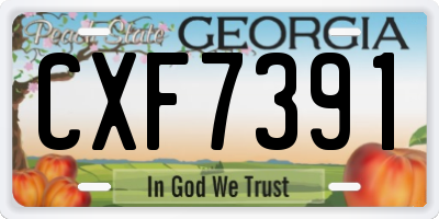 GA license plate CXF7391