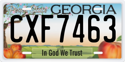 GA license plate CXF7463