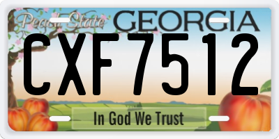 GA license plate CXF7512