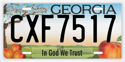 GA license plate CXF7517