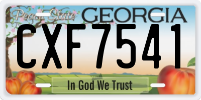 GA license plate CXF7541