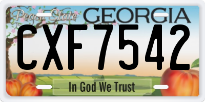 GA license plate CXF7542
