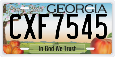 GA license plate CXF7545