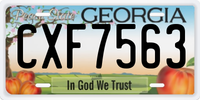 GA license plate CXF7563
