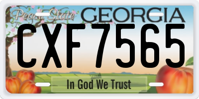 GA license plate CXF7565