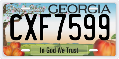 GA license plate CXF7599