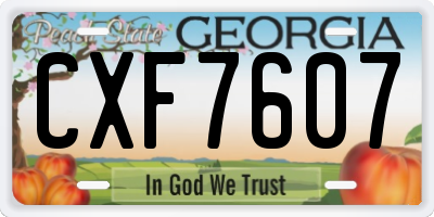 GA license plate CXF7607