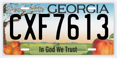 GA license plate CXF7613
