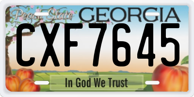 GA license plate CXF7645
