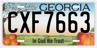 GA license plate CXF7663