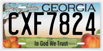 GA license plate CXF7824