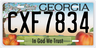 GA license plate CXF7834