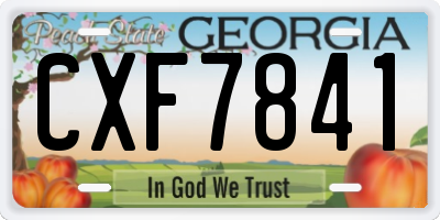 GA license plate CXF7841