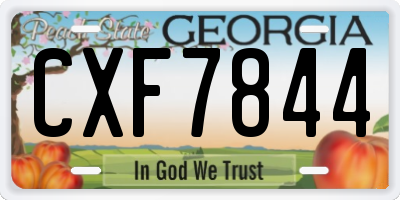 GA license plate CXF7844