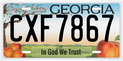GA license plate CXF7867