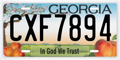 GA license plate CXF7894