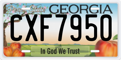 GA license plate CXF7950