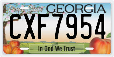 GA license plate CXF7954