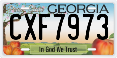 GA license plate CXF7973