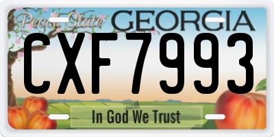 GA license plate CXF7993