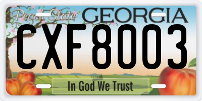 GA license plate CXF8003