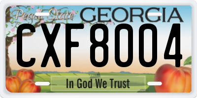 GA license plate CXF8004