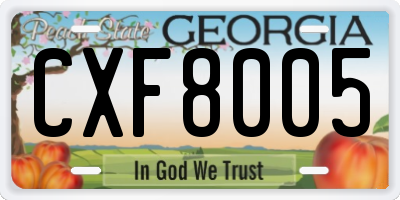GA license plate CXF8005