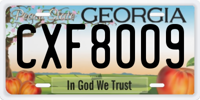 GA license plate CXF8009