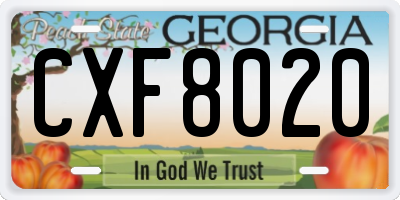 GA license plate CXF8020