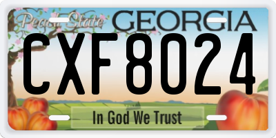 GA license plate CXF8024