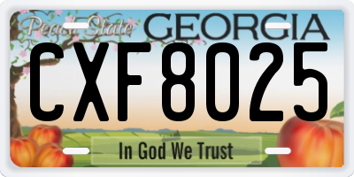 GA license plate CXF8025