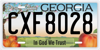 GA license plate CXF8028