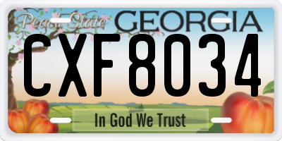 GA license plate CXF8034
