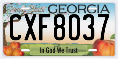 GA license plate CXF8037