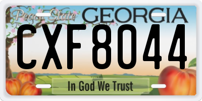 GA license plate CXF8044