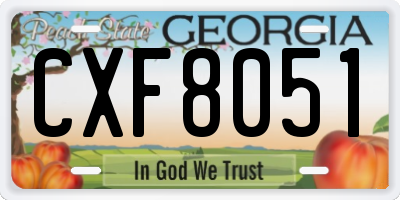 GA license plate CXF8051