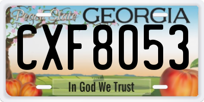 GA license plate CXF8053