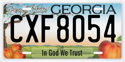 GA license plate CXF8054