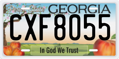 GA license plate CXF8055