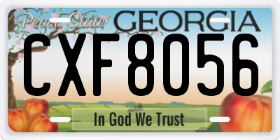 GA license plate CXF8056