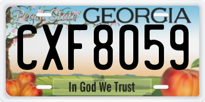 GA license plate CXF8059
